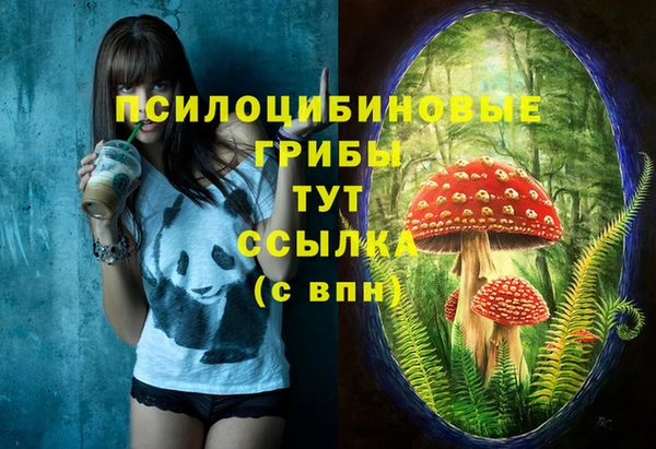 твердый Куйбышев