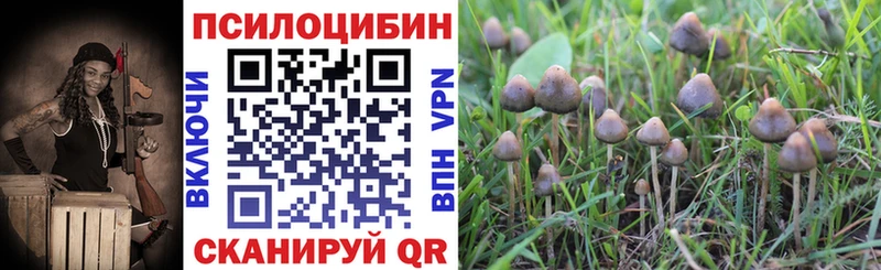 Псилоцибиновые грибы ЛСД Удачный